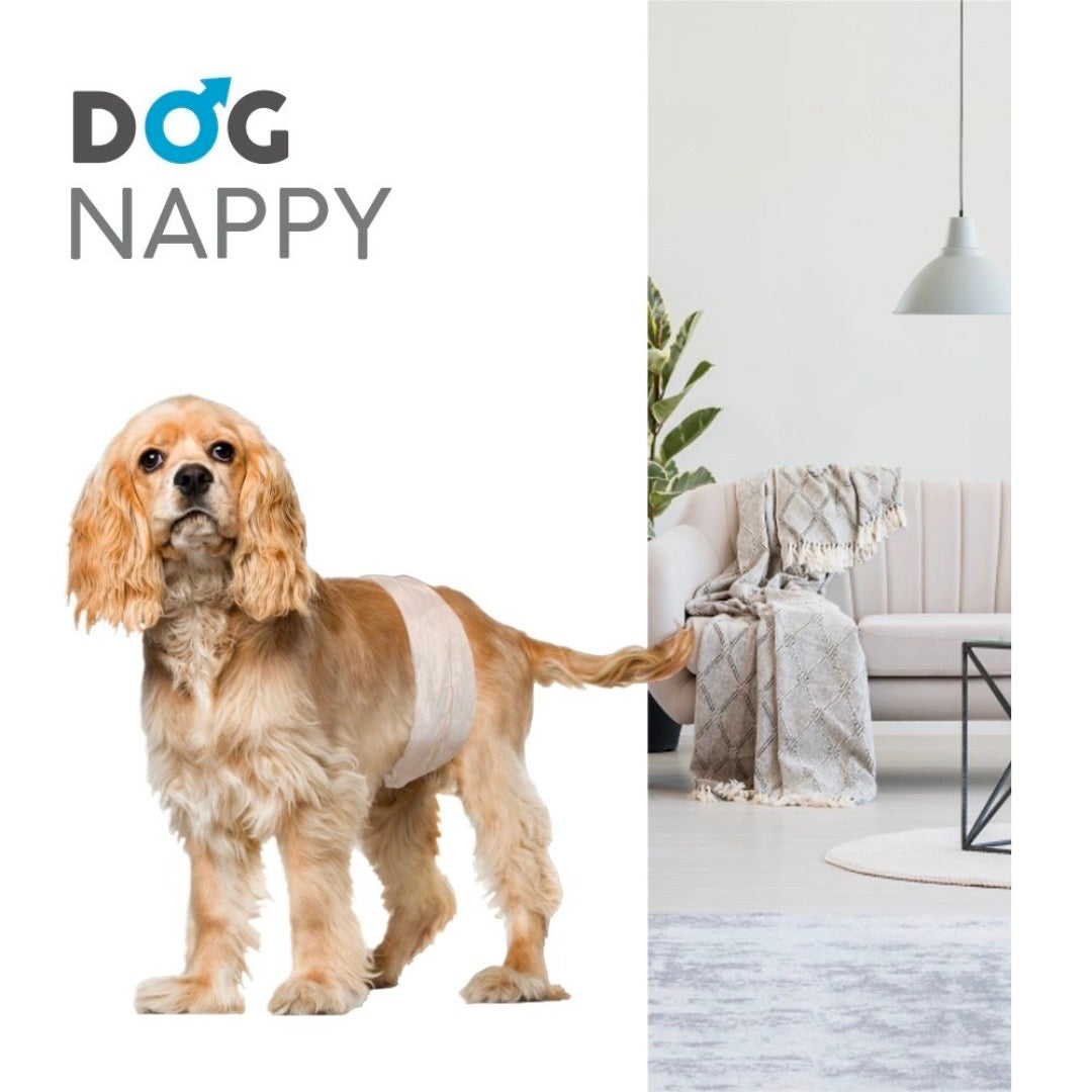Couche pour chien