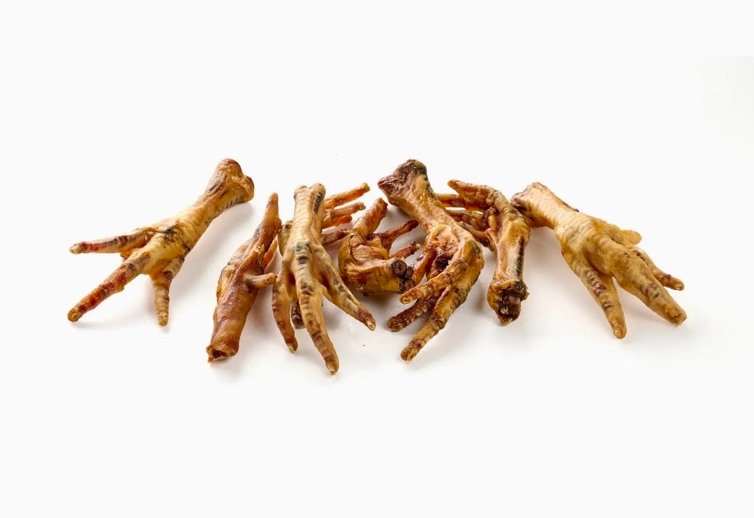 Patte de poulet séchée pour chien