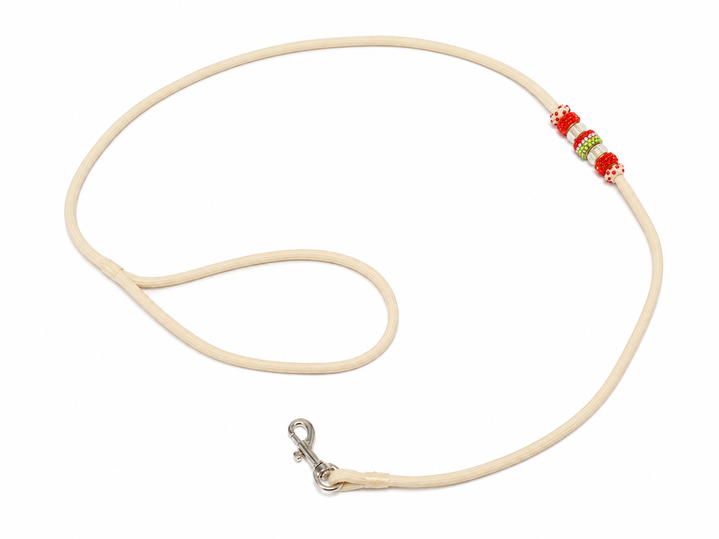 Laisse de présentation avec mousqueton pour chien