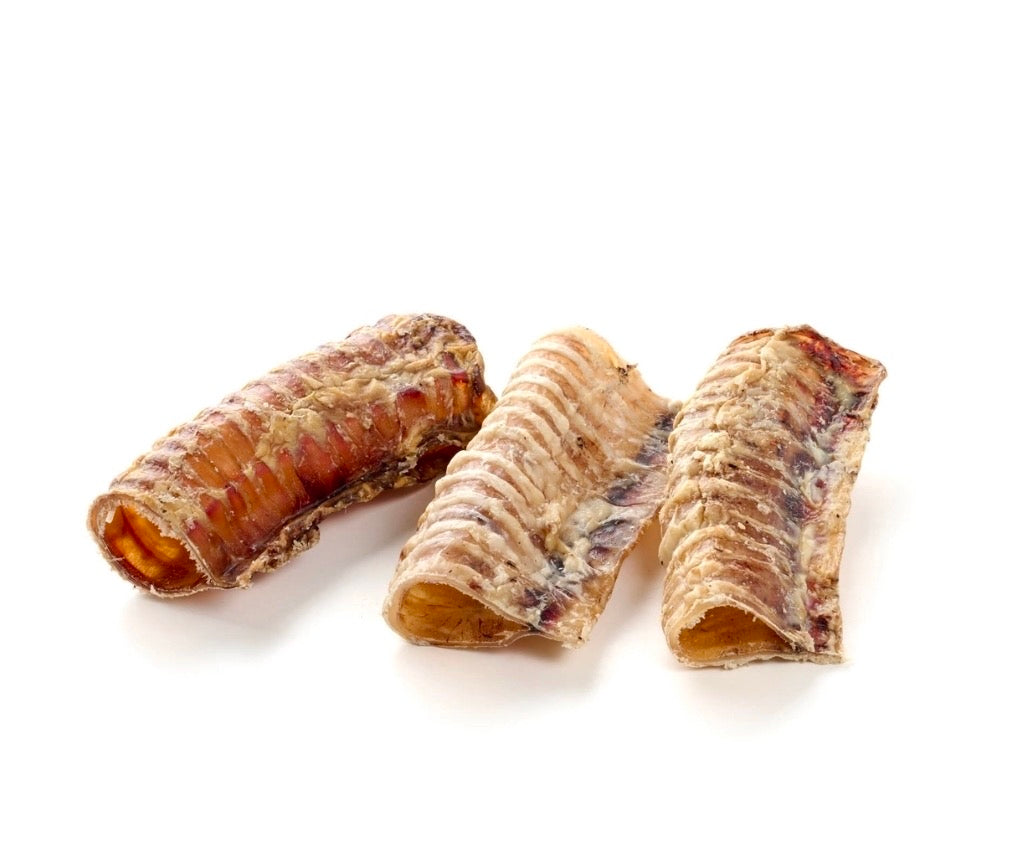 Trachée de Bœuf Séchée pour Chien