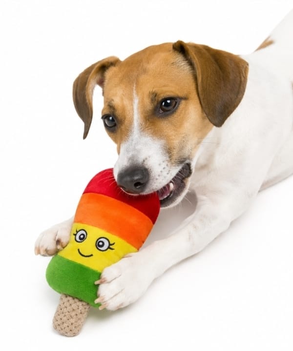 Jouet pour chien – Peluche Bâtonnet Glacé