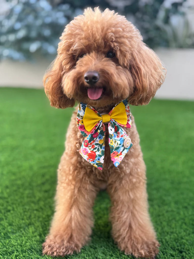 Noeud papillon marin pour chien fait à la main
