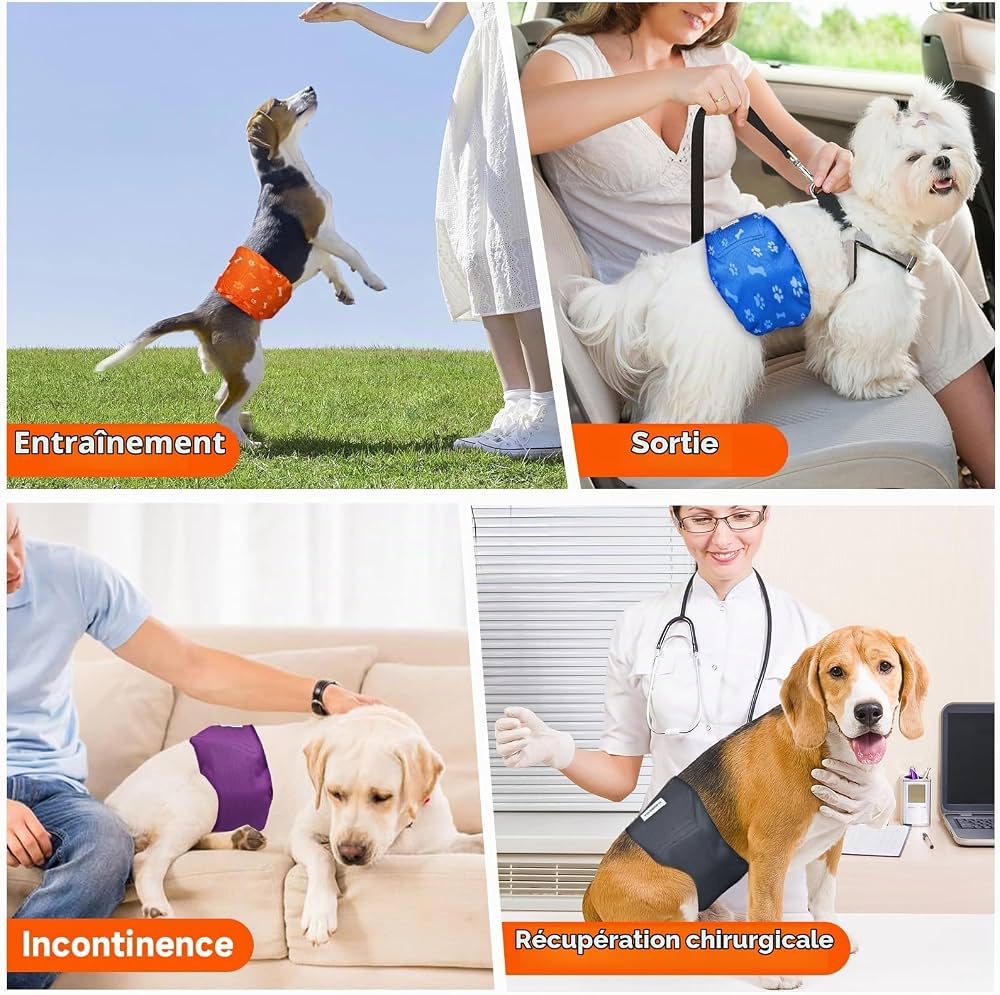 Couches absorbantes réutilisables pour chien mâle